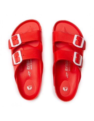 AVISPAS BIO HEBILLAS M. COACHELLA