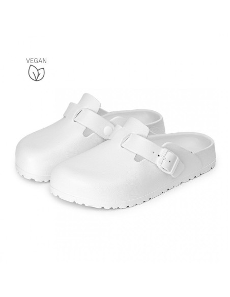 AVISPAS BIO CERRADO M. DESALIA