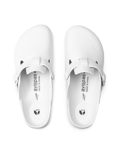 AVISPAS BIO CERRADO M. DESALIA