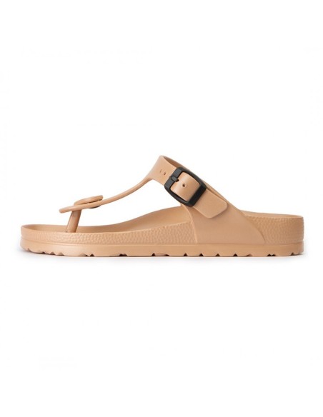 AVISPAS BIO DEDO M. DAISY