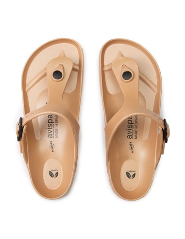 AVISPAS BIO DEDO M. DAISY