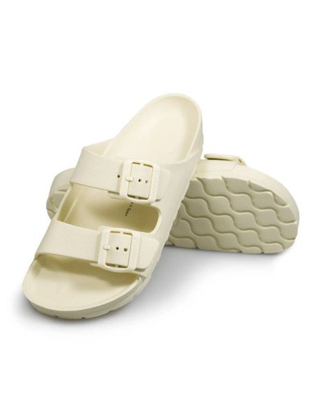 AVISPAS BIO HEBILLAS M. COACHELLA